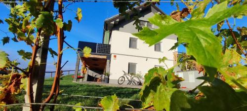 - Vistas a la casa desde las viñas en Apartmaji Gračner en Dramlje