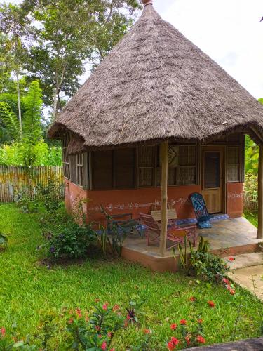 Cabaña pequeña con techo de paja y sillas en un patio en Ferme Yaka YALE en Palimé