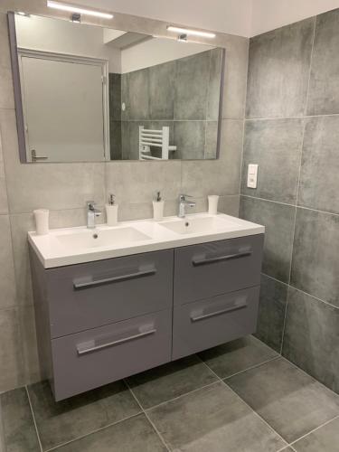 a bathroom with a sink and a mirror at BEAU T4 100M2 PALAIS DES ROIS DE MAJORQUE in Perpignan
