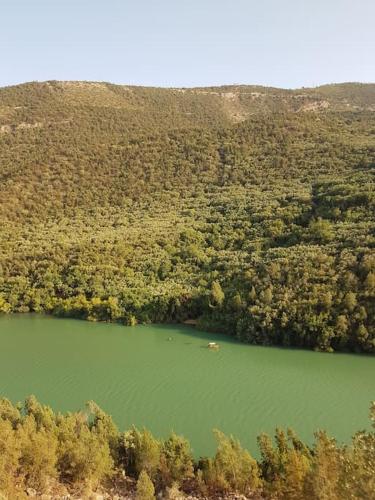 an aerial view of a green lake in a forest at Le Figuier du Lac Bin elouidane in Bine el Ouidane