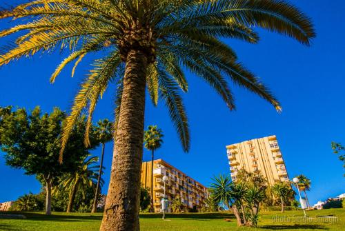 102 Estudio en Jupiter Apartmentos - Piscina y Playa - Excelente Ubicación