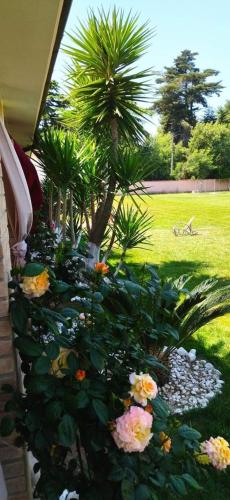 La Tenuta del Passero – Photos 4