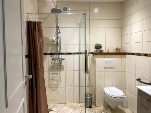 a bathroom with a shower and a toilet at Chambre d'Aut' in Autun