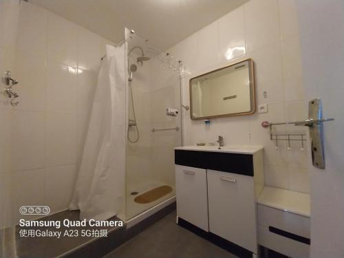 a bathroom with a shower and a sink and a mirror at La chambre de l'appartement in Créteil