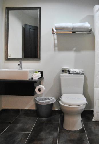 a bathroom with a toilet and a sink and a mirror at Hotel Los Andes in San Pedro Sula