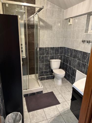 a bathroom with a toilet and a glass shower at Le Nid Du Moulin in Batzendorf