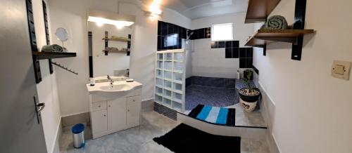 a small bathroom with a sink and a shower at Maison meublée F2 avec vue et piscine in Ravine des Cabris