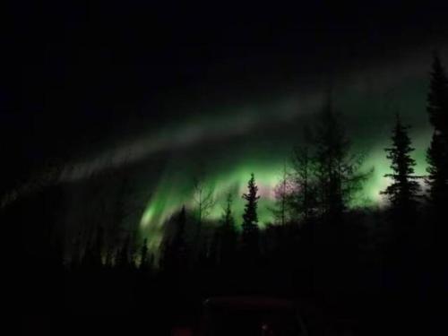 an aurora in the sky with trees in the foreground at The Alaskan Dream Lodge in Fairbanks