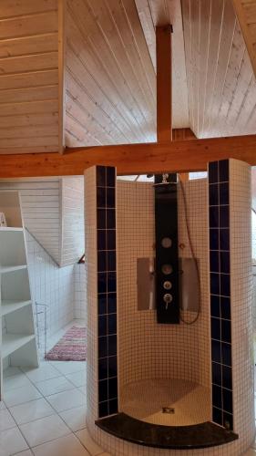 a bathroom with a shower with black tiles on the wall at Schöne 4-Zimmer-Ferienwohnung zu vermieten in Löffingen