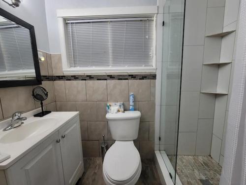 a bathroom with a toilet and a sink and a shower at Nice and cozy apartment in Ypsilanti