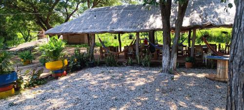 a hut with a thatched roof and some plants at Ecohotel Akuaipa in San Juan del Cesar