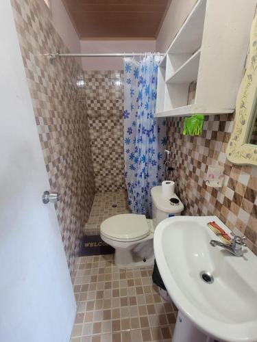 een kleine badkamer met een toilet en een wastafel bij Alojamientos Hermanos Zambranos in Cabra