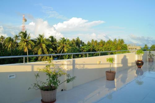 a balcony with potted plants and palm trees at Antares Dhangethi & Spa in Dhangethi
