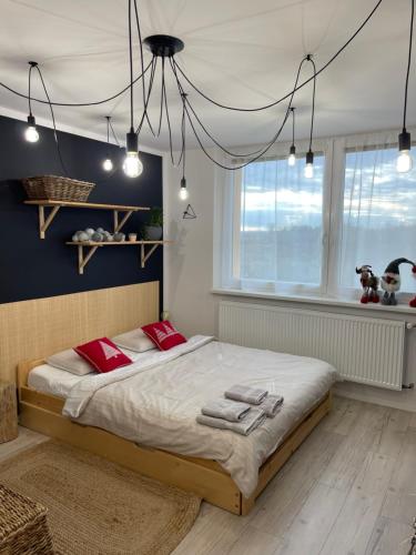 ホドニーンにあるBYTEČEK U LESAのベッドルーム1室(大型ベッド1台、赤い枕付)