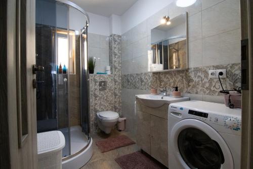 La salle de bains est pourvue d'un lave-linge et d'un lavabo. dans l'établissement Happy Residence Sibiu, à Sibiu