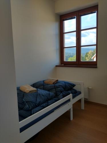 a bed in a room with a window at Apartment Felicitas in Kašperské Hory
