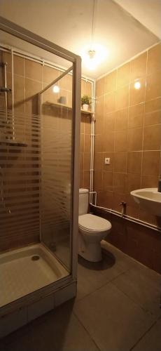 une salle de bain avec une douche, des toilettes et un lavabo dans l'établissement Montreuil en duplex, à Montreuil