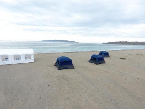 two blue tents on a sandy beach near the ocean at Avistamiento de Ballenas y Campamento Todo incluido!! Mínimo 3 noches en Mag Bay in Punta Cove