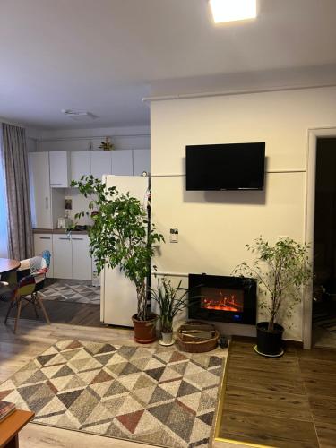 TV a/nebo společenská místnost v ubytování Crystal