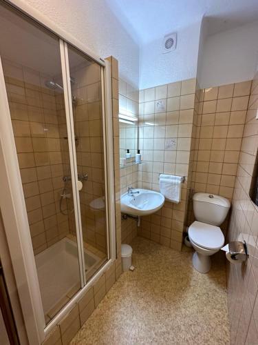 a bathroom with a toilet and a shower and a sink at Au Wachtfels in Obersteinbach