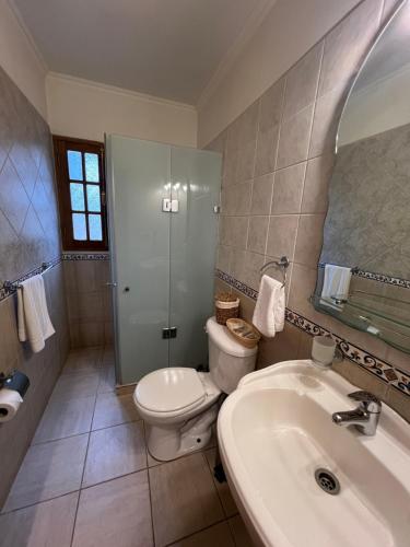 a bathroom with a toilet and a sink and a mirror at Green Baker Lodge in Puerto Bertrand