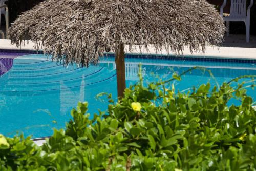 a blue swimming pool with a straw umbrella at Bungalows Las Tortugas in Lo de Marcos