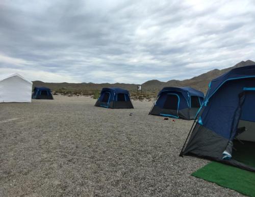 a group of tents sitting in the middle of a field at Avistamiento de Ballenas y Campamento Todo incluido!! Mínimo 3 noches en Mag Bay in Punta Cove