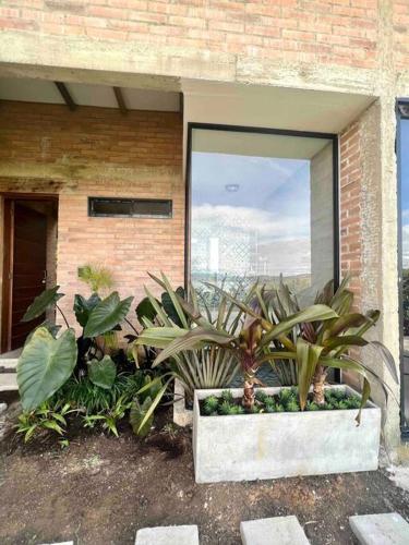 a plant in a pot in front of a building at Casa campestre Lago Calima in Calima