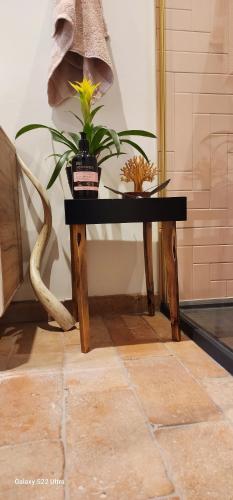 a black table with a plant on top of it at La Casa Rosa Cheltenham - free parking close to racecourse in Cheltenham