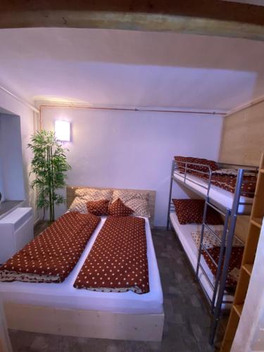 1 Schlafzimmer mit 2 Etagenbetten und einer Anlage in der Unterkunft Apartmány u náměstí in Prachatice
