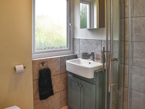 a bathroom with a sink and a shower at Garden Studio in St Austell