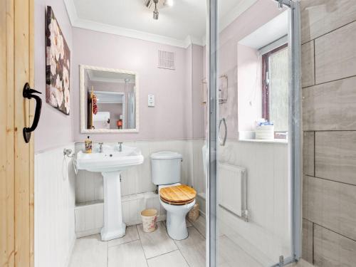 a bathroom with a toilet and a sink and a shower at The Coach House- Uk45660 in Bishops Castle