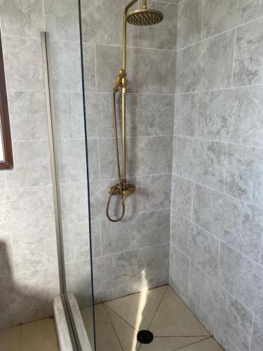 a shower with a glass door in a bathroom at Chalet playa hermosa in Pichilemu