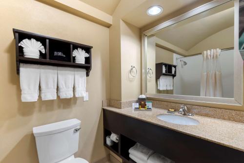 a bathroom with a sink and a toilet and a mirror at Best Western Plus Arlington North in Arlington
