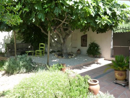 a garden with a tree and a bench and a table at A l'ombre du figuier in Lorgues