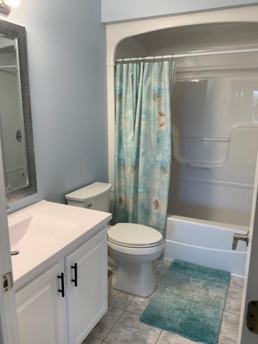 ein Bad mit einem WC und einem Duschvorhang in der Unterkunft Seaside chalet,Aboiteau beach cottage rentals,cap pele in Cap-Pele