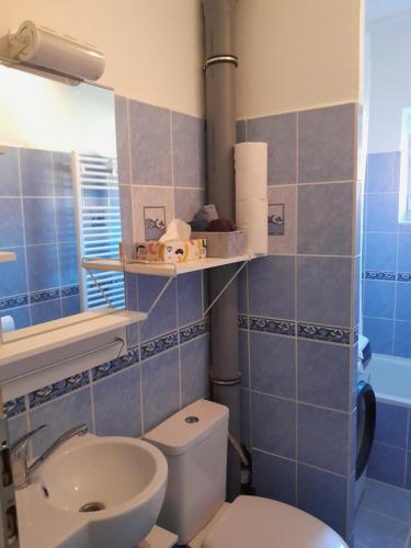 a bathroom with a toilet and a sink at Apartment Riegerovka in Cheb