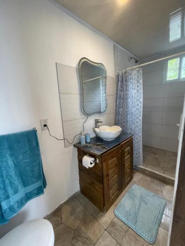 y baño con lavabo y espejo. en Ponci’s Gate to Gaia Holistic Center en Bocas Town