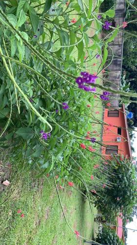 villa tucan – Photos 4