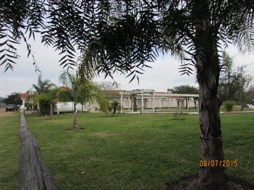 a tree in a field with a building in the background at Club Valle Termal Resort in Federación