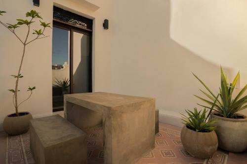 a room with a stone bench and some plants at Narrativ Lofts - Lira - Mid Century Cozy Retreat in Campeche