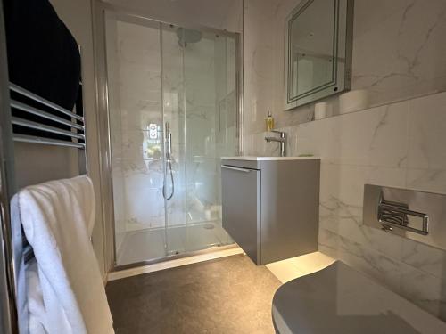 a bathroom with a shower and a toilet and a sink at Tucktonia retreat in Iford