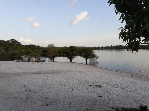 einen Strand mit Bäumen am Ufer eines Sees in der Unterkunft POUSADA CANTO DOS PASSÁROS in Manaus