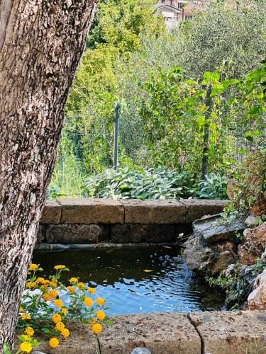 a pond in a garden with a tree and flowers at Villa Daniela in Camaiore