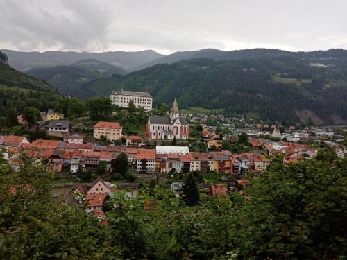 Vistas a una ciudad con montañas en el fondo en Lillas Ferien Wohnung, en Teufenbach