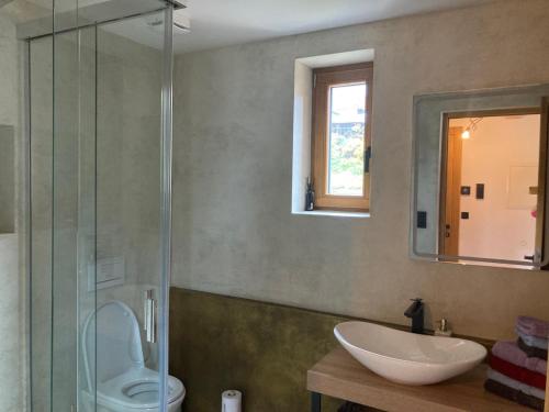 een badkamer met een wastafel en een glazen douche bij Harrachov 702 in Harrachov