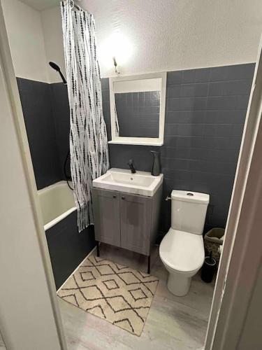 Un baño con inodoro, lavabo y ducha. en Proche PARIS, Aéroport ORLY, charmant 2 pièces, en Orly