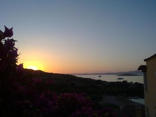 a sunset on a hill with a view of the water at Bagaglino I Giardini Di Porto Cervo in Porto Cervo