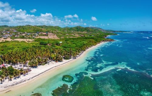 an aerial view of a beach in the ocean at Villa Entre Ciel et Mer in Sainte-Anne