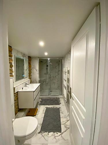 La salle de bains est pourvue d'une douche, de toilettes et d'un lavabo. dans l'établissement Appartement neuf paisible proche aéroport, à Morangis